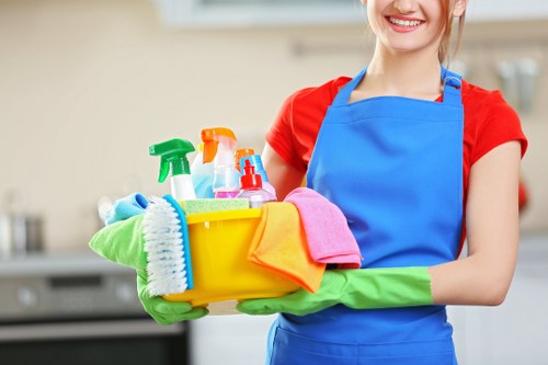 Home cleaners in London preparing a spotless bathroom