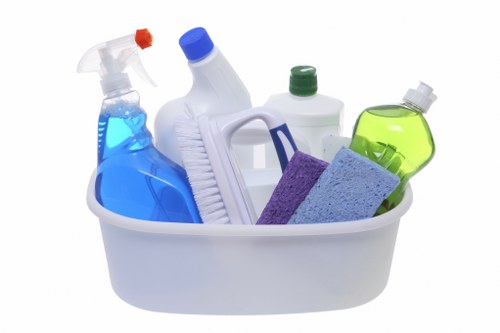 Professional carpet cleaning in a London home