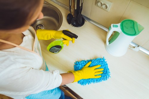 Kitchen cleaning tools arranged for domestic cleaning in London