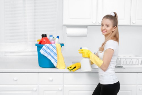 Professional window cleaning in London on a residential property
