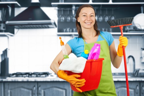 Domestic cleaning tools arranged for a London house cleaning service