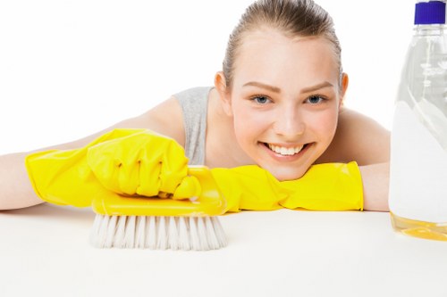 Deep cleaning equipment used by a carpets cleaner in London