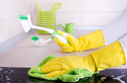 Detailed kitchen and bathroom deep cleaning in London