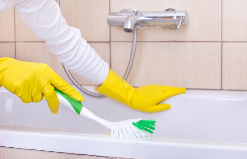 Tenancy cleaner using safe methods in a rental property