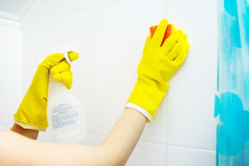 Illustration of evidence reviewed in a tenancy cleaning dispute
