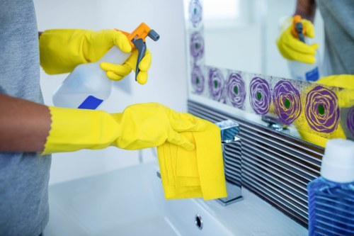 Deep oven cleaning service in London with removable oven racks