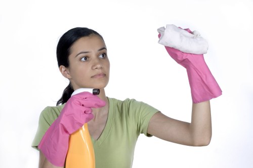 Protected tenancy cleaning payment methods displayed on checkout