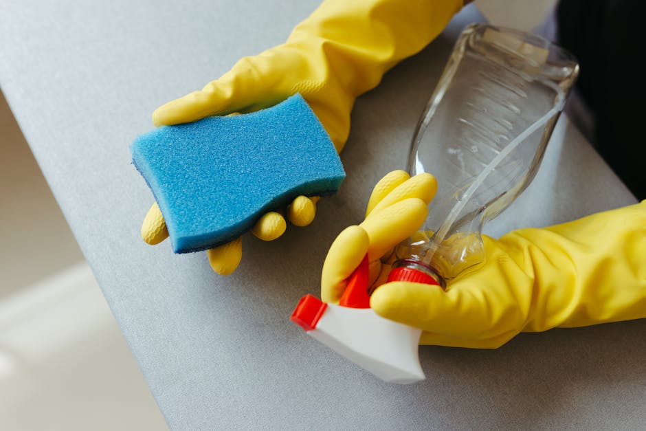 Insider tips to speed clean kitchen surfaces before inspection image