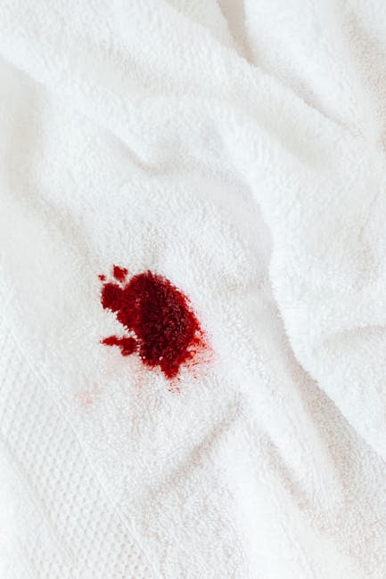 Stain removal methods tenants can use without risking deposits image